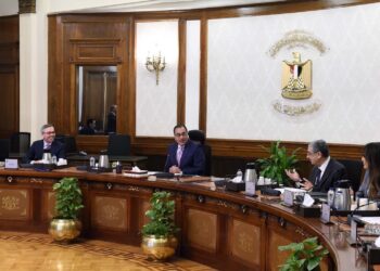 Madbouli examine la coopération avec Scatec