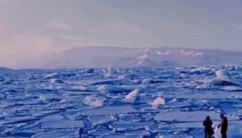 Egypte : Les pays en développement doivent intégrer l’action climatique