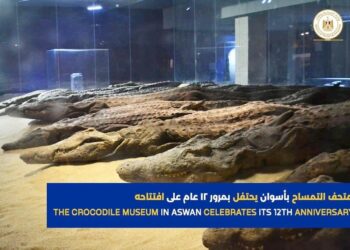 Le Musée du Crocodile souffle sa 12e bougie