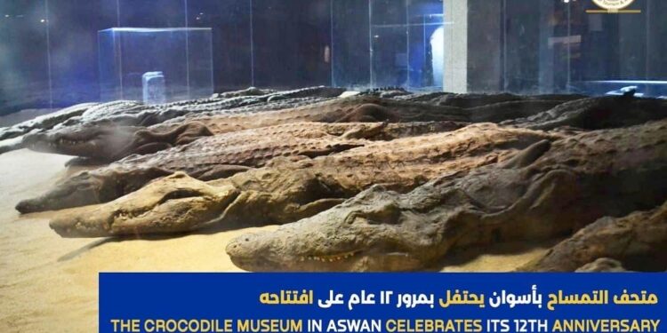 Le Musée du Crocodile souffle sa 12e bougie 2 - Le Progrès Egyptien Le Musée du Crocodile souffle sa 12e bougie 1 - Le Progrès Egyptien