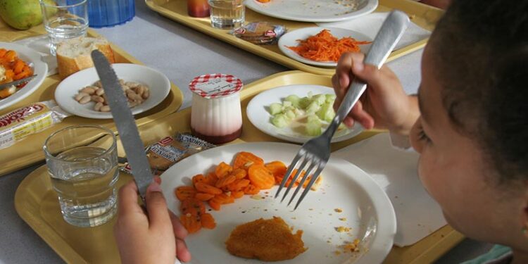 <strong>Guinness World Record : L'Egypte marque un chiffre record de repas scolaires pour 2021-2022</strong> 2 - Le Progrès Egyptien <strong>Guinness World Record : L'Egypte marque un chiffre record de repas scolaires pour 2021-2022</strong> 1 - Le Progrès Egyptien