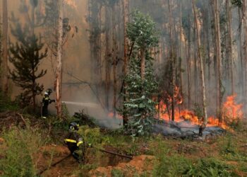 Vague de chaleur au Chili : Les incendies menacent d’autres régions