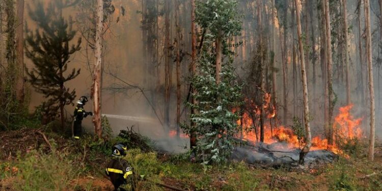 Vague de chaleur au Chili : Les incendies menacent d’autres régions 1 - Le Progrès Egyptien