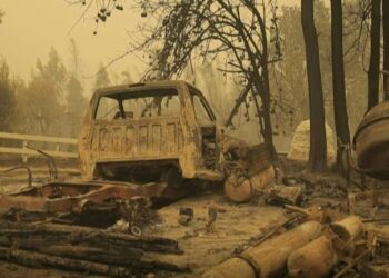 Chili : 24 morts dans des immenses feux de forêt, plus de 1.100 blessés