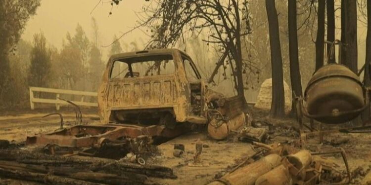 Chili : 24 morts dans des immenses feux de forêt, plus de 1.100 blessés 2 - Le Progrès Egyptien Chili : 24 morts dans des immenses feux de forêt, plus de 1.100 blessés 1 - Le Progrès Egyptien