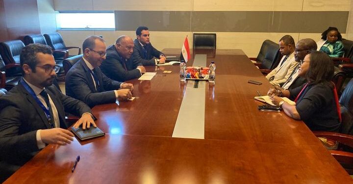 Choucri discute avec son homologue comorien de la coopération bilatérale 1 - Le Progrès Egyptien