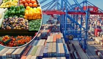 Exportations agricoles égyptiennes : La Russie un grand marché