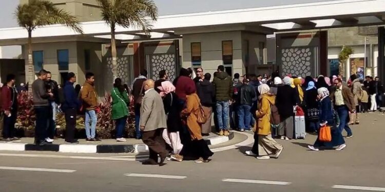 Foire internationale du Livre du Caire : 481.000 l’ont visitée au 10e jour 1 - Le Progrès Egyptien