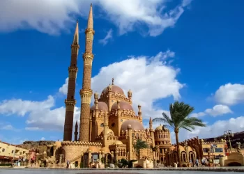 Un voyage inoubliable sur les rives de la&nbsp;Mer Rouge&nbsp;