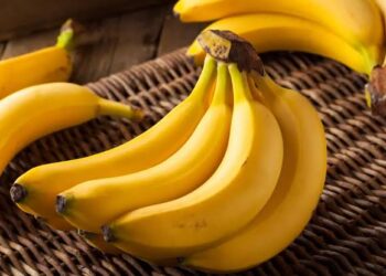 La banane nourrit même la terre