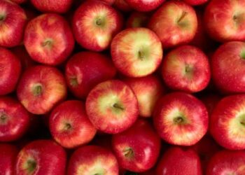 Mythe ou vérité : Une pomme par jour éloigne le médecin