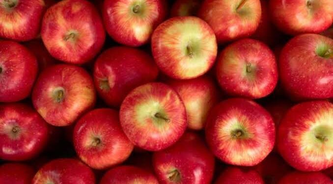 <strong>Mythe ou vérité : Une pomme par jour éloigne le médecin</strong> 1 - Le Progrès Egyptien