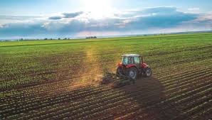 Sécurité alimentaire : Le secteur agricole joue un rôle central