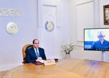 Al-Sissi présente les priorités de la présidence égyptienne du NEPAD