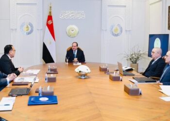 Al-Sissi suit le dossier du développement de l’industrie