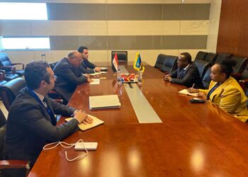 Choucri : L’Egypte tient à faire avancer les relations avec le Rwanda