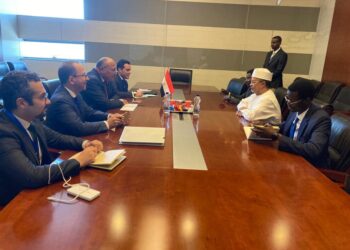 AE :Soutien de l’Egypte à la stabilité au Tchad