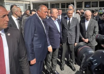 Choucri et son homologue turc reçoivent la 6ème cargaison d’aide égyptienne dans le port de Mersin