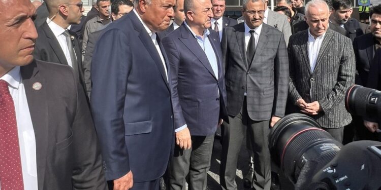 <strong>Choucri et son homologue turc reçoivent la 6ème cargaison d'aide égyptienne dans le port de Mersin</strong> 1 - Le Progrès Egyptien