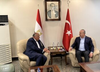 Choucri et son homologue turc se réunissent à Adana
