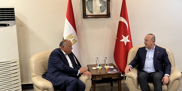 <strong>Choucri et son homologue turc se réunissent à Adana</strong> 1 - Le Progrès Egyptien