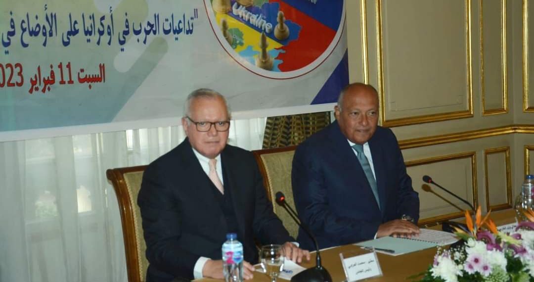 Choucri inaugure la conférence annuelle du Conseil égyptien des Affaires étrangères 1 - Le Progrès Egyptien