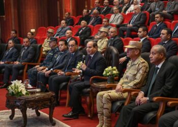 Al-Sissi: Fournir un stock stratégique de produits de base