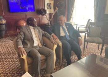 L’Egypte affiche sa solidarité avec le Congo face aux groupes terroristes&nbsp;