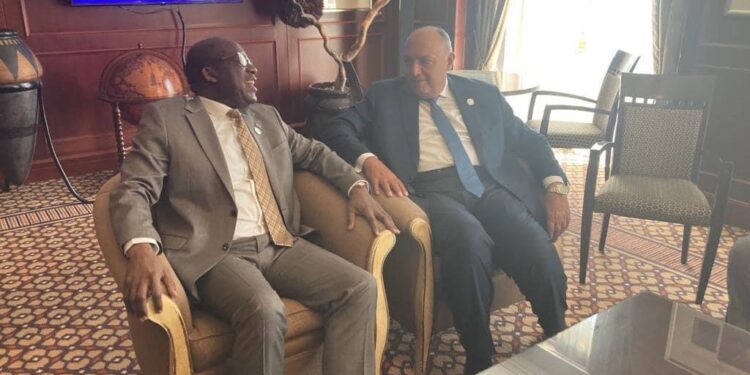 L'Egypte affiche sa solidarité avec le Congo face aux groupes terroristes&nbsp; 1 - Le Progrès Egyptien