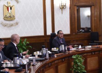 Madbouli examine le projet de fourniture des terrains industriels