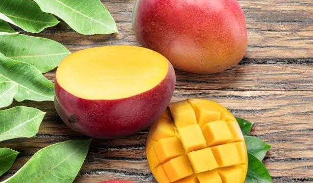 <strong>4 bonnes raisons de consommer de la mangue après 50 ans</strong> 1 - Le Progrès Egyptien