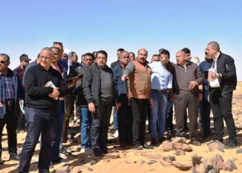 Le ministre des Transports visite le projet de TGV Abou Simbel/Louxor