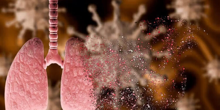 Une protéine qui bloque le coronavirus dans les poumons 1 - Le Progrès Egyptien