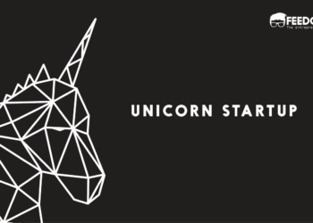 L’Egypte, 1er pays possédant une société “Unicorn” en Afrique