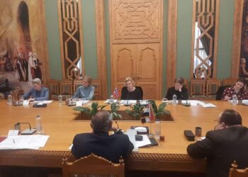 Egypte-Norvège : Premier round de concertations politiques