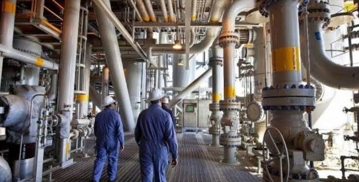 Contact direct avec les industriels pour régler leurs problèmes 1 - Le Progrès Egyptien