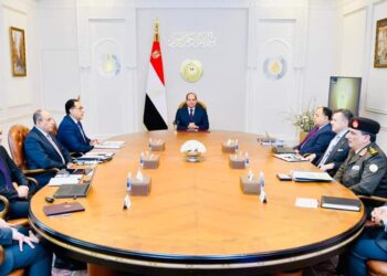 <strong>Al-Sissi : Promouvoir la complémentarité entre l'aviation et du tourisme</strong> 8 - Le Progrès Egyptien Al-Sissi : Promouvoir la complémentarité entre l’aviation et du tourisme