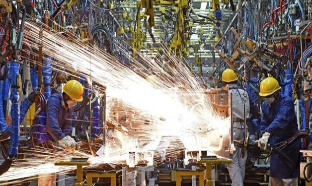 Le secteur industriel, pilier du développement 2 - Le Progrès Egyptien Le secteur industriel, pilier du développement 1 - Le Progrès Egyptien