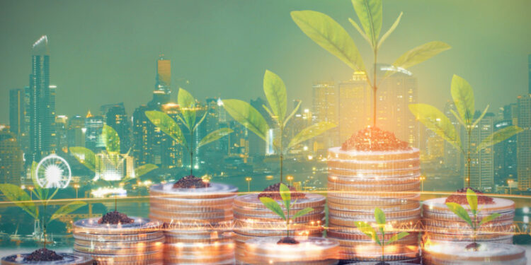 Renforcer la reprise verte 2 - Le Progrès Egyptien Renforcer la reprise verte 1 - Le Progrès Egyptien