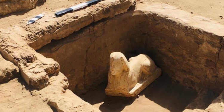 Qena : Découverte d’un sphinx à côté du temple de Dendérah 1 - Le Progrès Egyptien