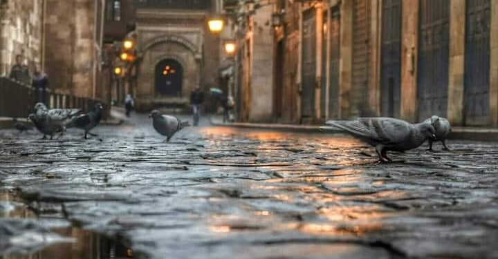 Sans-titre 1 - Le Progrès Egyptien