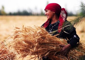 GIZ : Soutien aux femmes travaillant dans le secteur agricole