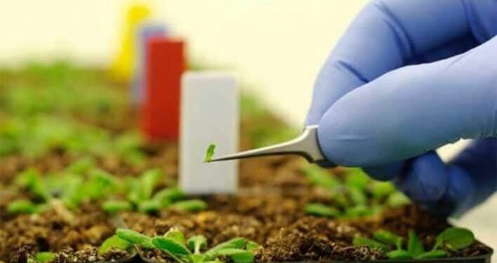 Nanotechnologie : Enormes changements en agriculture 2 - Le Progrès Egyptien Nanotechnologie : Enormes changements en agriculture 1 - Le Progrès Egyptien