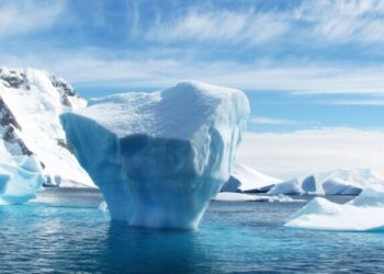 Arctique : Les espèces de poissons ont doublé en 30 ans !