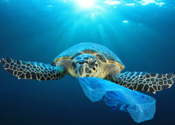 Océans : La pollution plastique progresse