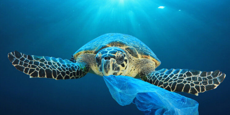 Océans : La pollution plastique progresse 1 - Le Progrès Egyptien