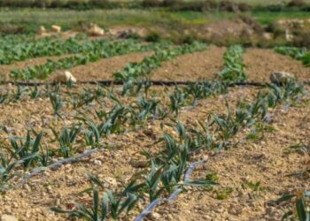 Cultiver toutes les terres arables