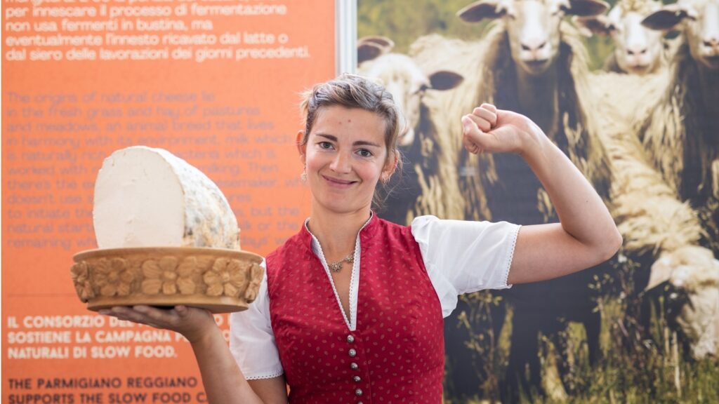 Une première : Un festival au goût de «Cheese Platter» 5 - Le Progrès Egyptien