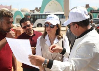 Développement du Palais de culture d’Assouan