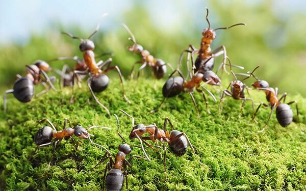 Pour améliorer votre français… 1 - Le Progrès Egyptien